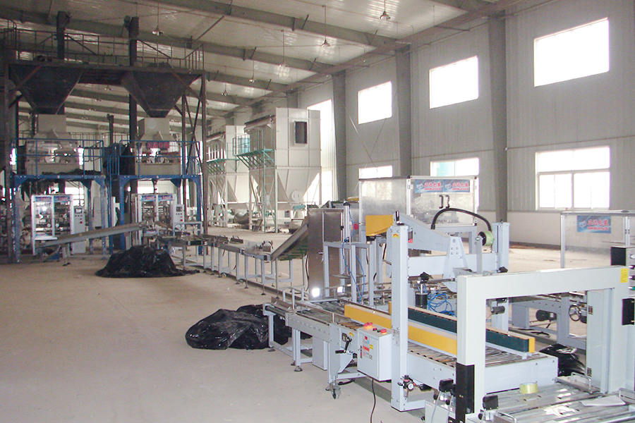 Sito di elaborazione dei semi (linea di imballaggio) dell'industria cinese
